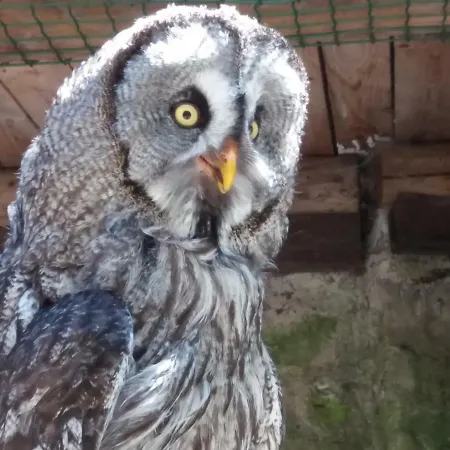 Park- Scout Resort *